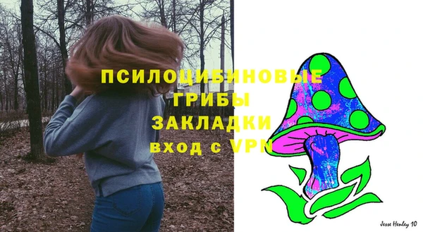 дживик Белокуриха