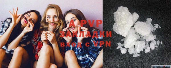 молекула духа Грязовец