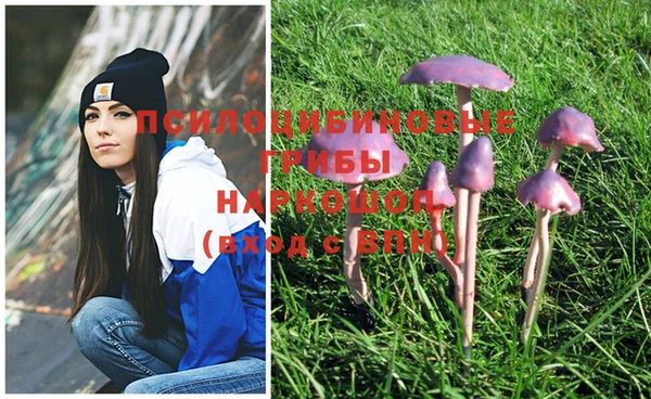 стафф Губаха