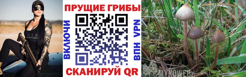 Галлюциногенные грибы Magic Shrooms  где найти   Малоярославец 