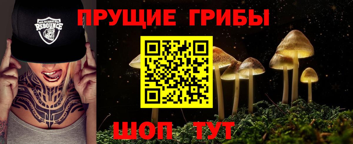 Псилоцибиновые грибы ЛСД Малоярославец