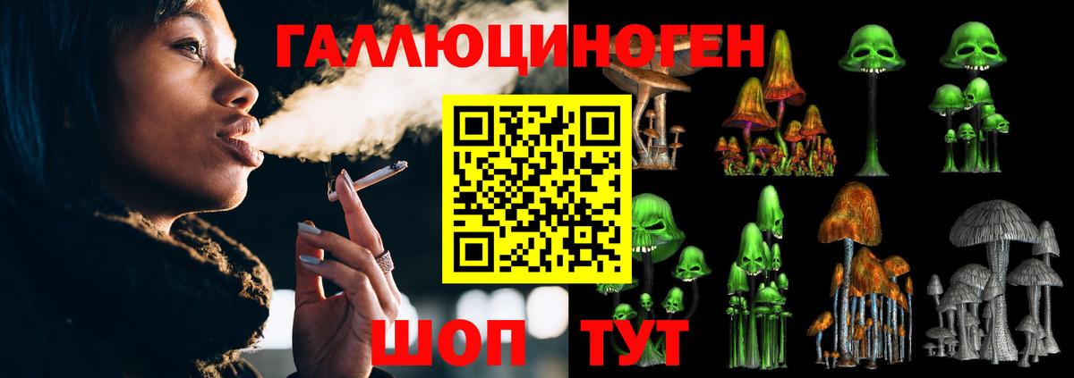 продажа наркотиков  Галлюциногенные грибы Psilocybine cubensis  Вход с VPN  Малоярославец 